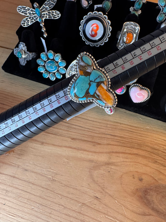 Spiny oyster and turquoise cow ￼
